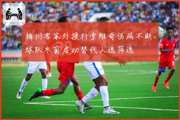 梅州客家外援科索维奇伤病不断，球队冬窗启动替代人选筛选